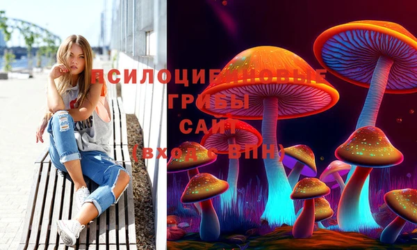 соль ск Лиски