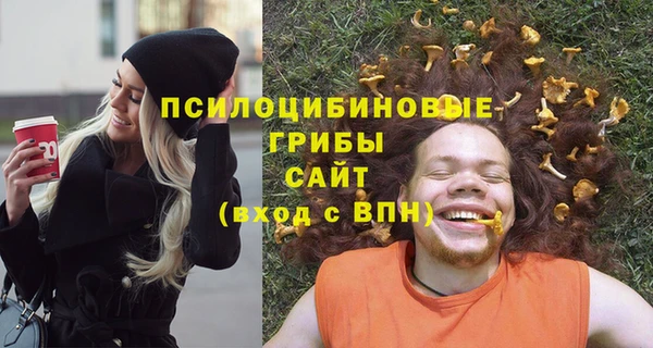 PSILOCYBIN Лабытнанги
