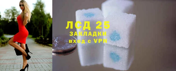 твердый Ладушкин
