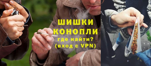 ПСИЛОЦИБИНОВЫЕ ГРИБЫ Лихославль