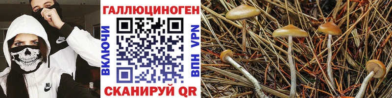 Псилоцибиновые грибы мухоморы Елизаветинская