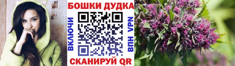 Бошки марихуана White Widow  Елизаветинская 
